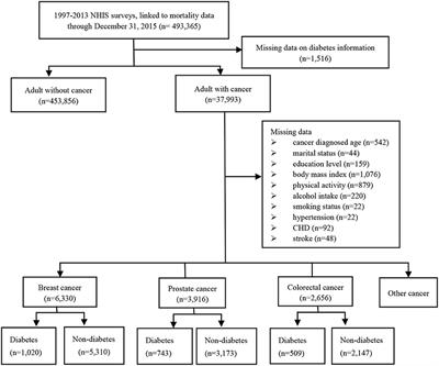 Pre- and Post-diagnosis Diabetes as a Risk Factor for All-Cause and Cancer-Specific Mortality in Breast, Prostate, and Colorectal Cancer Survivors: a Prospective Cohort Study